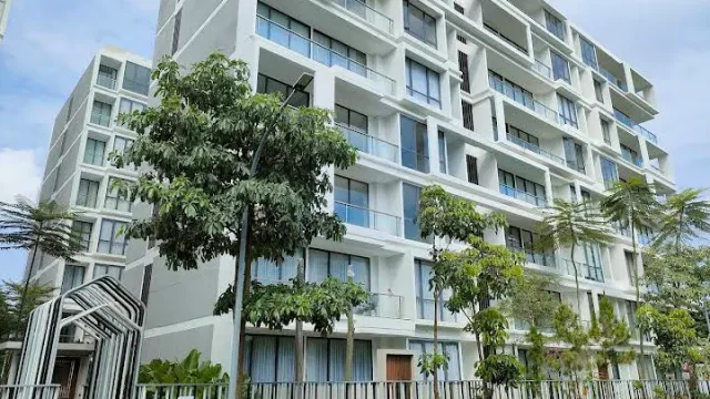 compressed_1762930054338