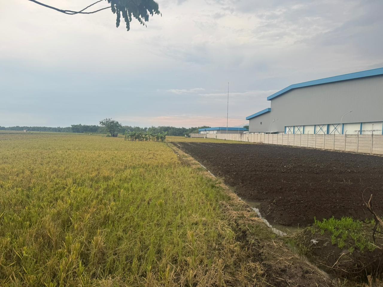 tanah jl Nganjuk – Gondang